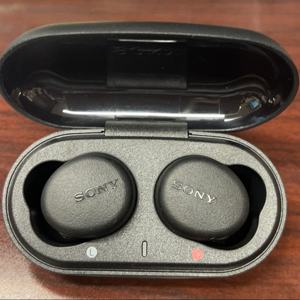 Sony WF-XB700 EXTRA BASS True Wireless Earbuds